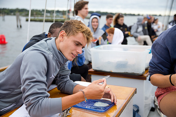 marinebio_soundwater_us_mkras_0379
