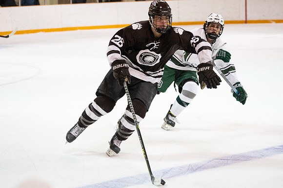 hockey_2022-03-02_nepsihaquarter_jk_5051