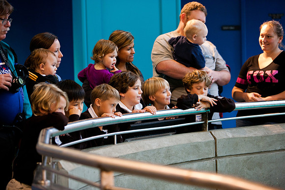 aquarium_ls_mkras_2383