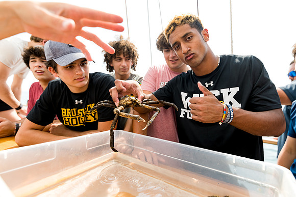marinebio_soundwaters22_us_ah_0049