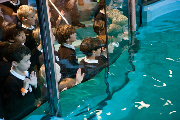 aquarium_ls_mkras_2380