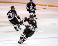 hockey_2022-02-02_dburns1_4468
