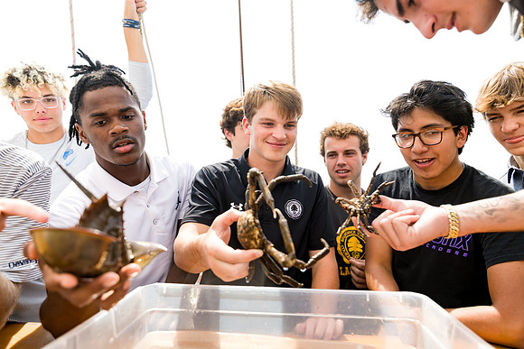 marinebio_soundwaters22_us_ah_0058
