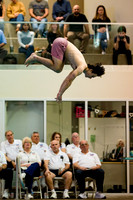 swimming_faa25championship_dive_ah_0003