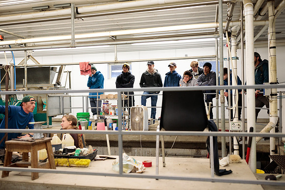 randolphvt1819_trip02_goatfarm_bdf_6151