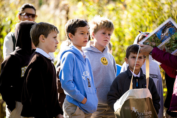 audubon_gr3_ah_0061