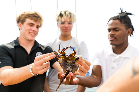 marinebio_soundwaters22_us_ah_0063