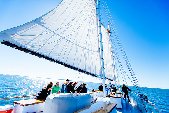 marinebio_soundwaters_jk_7412