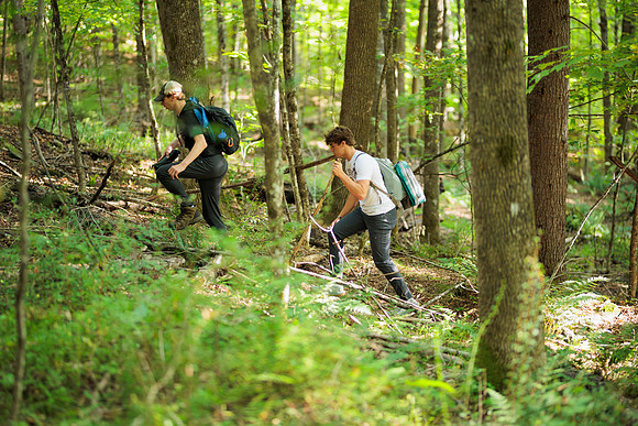 randolphvt2425_trip01-6124_bdf1_8209
