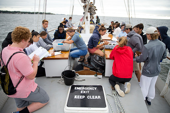 marinebio_soundwater_us_mkras_0108