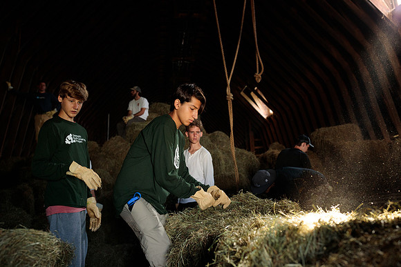 randolphvt1819_trip01_goatfarm_bdf_2302