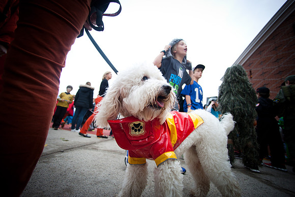 halloweenparade_mkras_0265