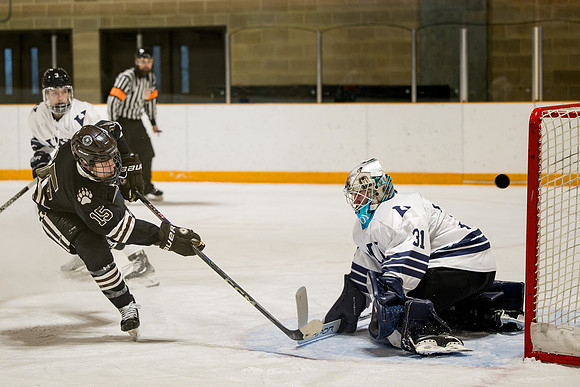 hockey_2025-01-18_ah_0226