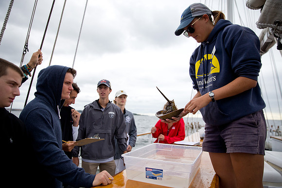 marinebio_soundwater_us_mkras_0221