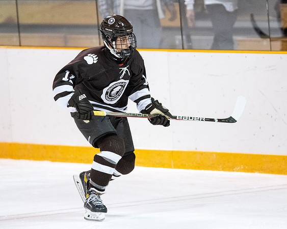 hockey_2022-01-31_dburns_6212