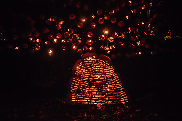 pumpkinblaze17_hp_3488