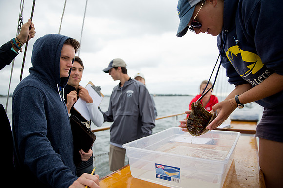 marinebio_soundwater_us_mkras_0211