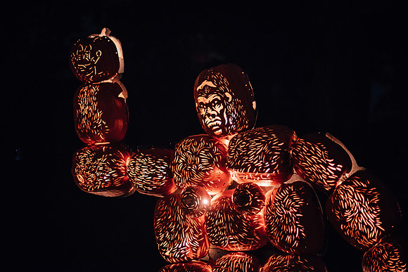 pumpkinblaze17_hp_3634