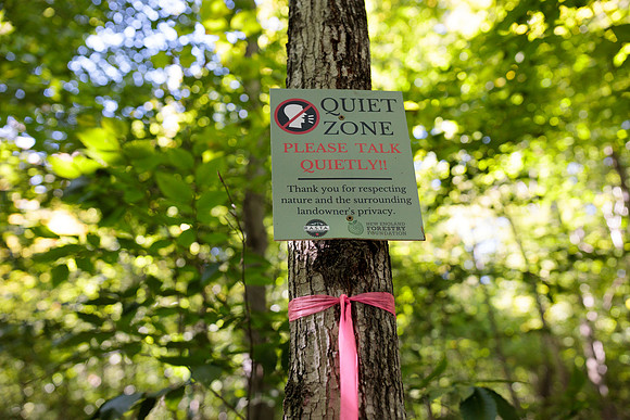 randolphvt2122_trip01_hike_bdf_4679