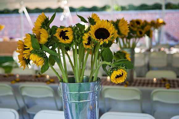 senior_bbq_mkras_0022