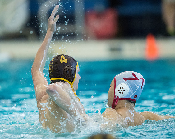 waterpolo_liquid4_2016-11-12_dburns_9146