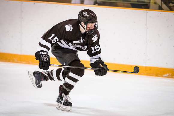 hockey_2018-01-27_wkl_8248