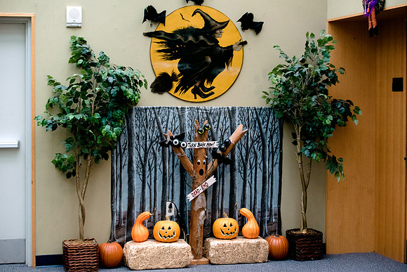 candids_ls_2017-10-11_hp_7627