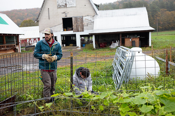 randolphvt1819_trip02_goatfarm_bdf_6302