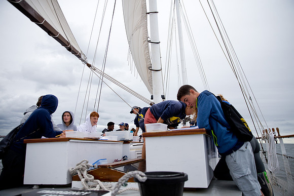 marinebio_soundwater_us_mkras_0280