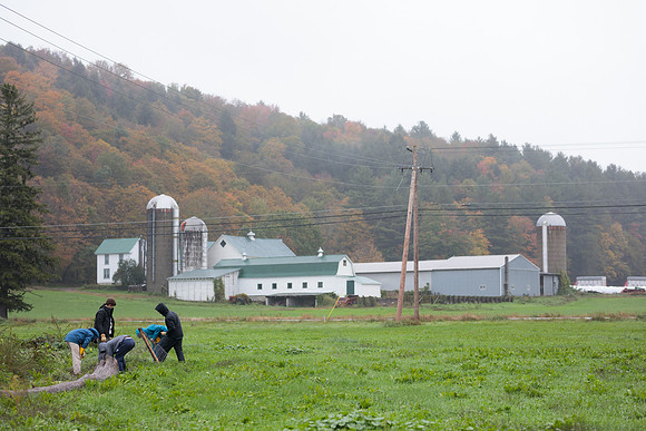 randolphvt1819_trip02_goatfarm_bdf_1792