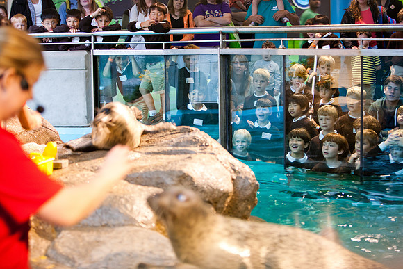 aquarium_ls_mkras_2402