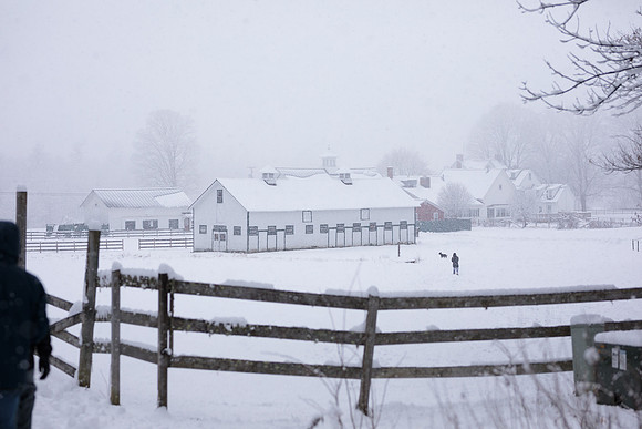 randolphvt1819_trip04_snowday_bdf_2980