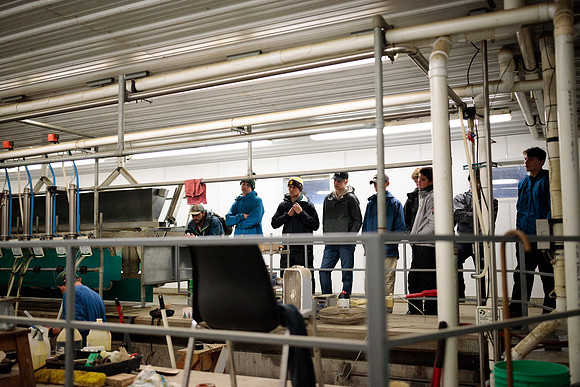 randolphvt1819_trip02_goatfarm_bdf_6085