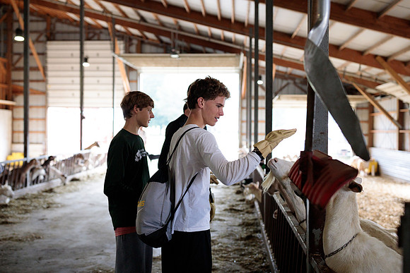 randolphvt1819_trip01_goatfarm_bdf_2130