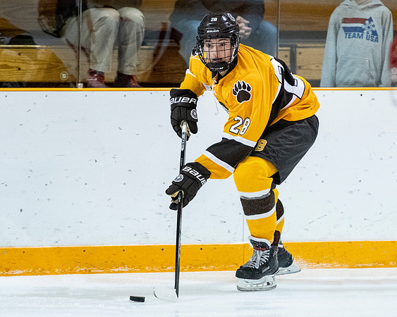 hockey_2019-01-12_dburns_4395