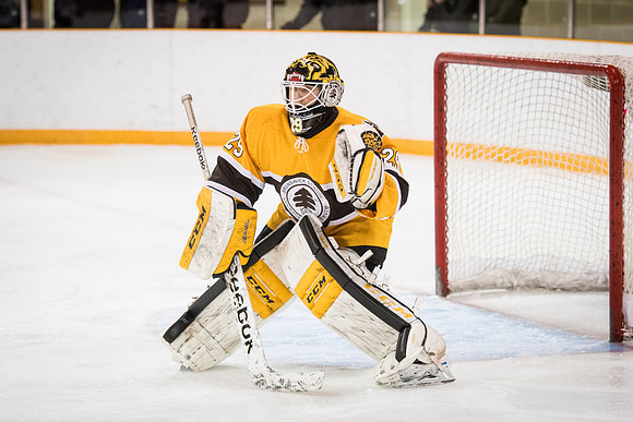 hockey_2016-02-17_wkl_8581