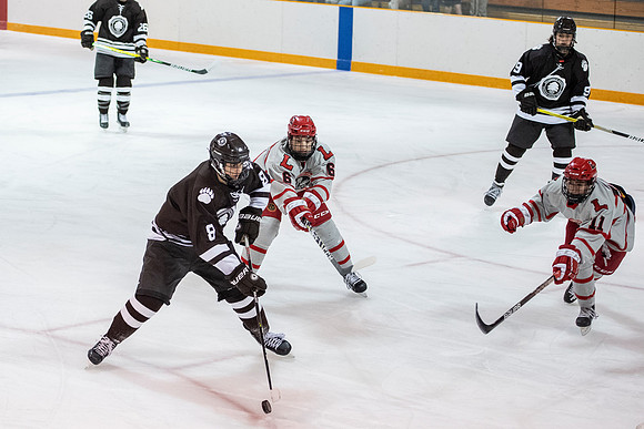 hockey_2022-02-02_dburns1_4344