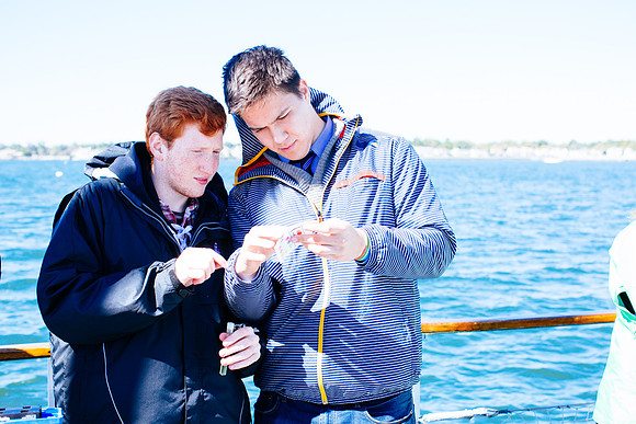 marinebio_soundwaters_jk_7960