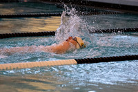 swimming_ms_2022-02-03_gh_0018