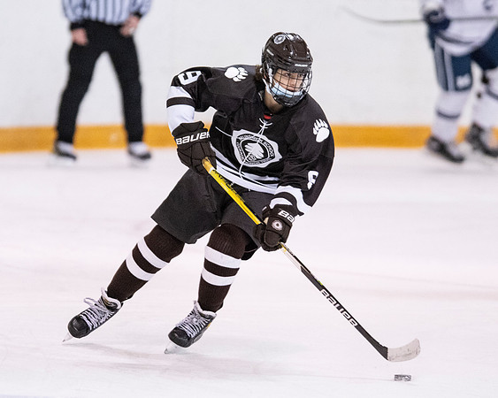 hockey_2022-01-12_dburns2_2977