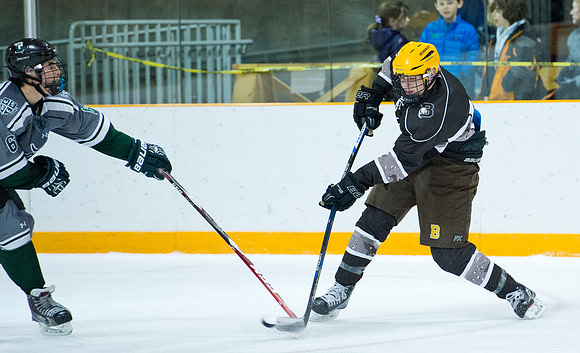 hockey_2016-01-09_dburns_3880