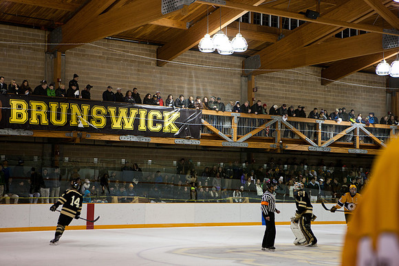 hockey_2014-01-09_westminster_mkras_0221