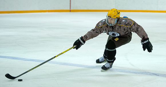 hockey_2015-01-06_woundwariors_dburns_7020