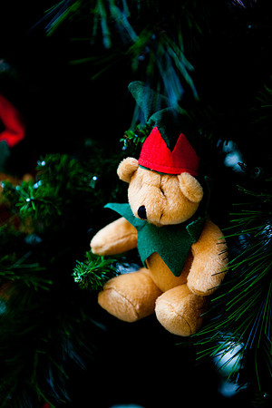 treelighting_ls_mkras_0058
