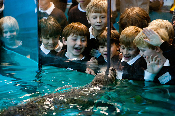 aquarium_ls_mkras_2415