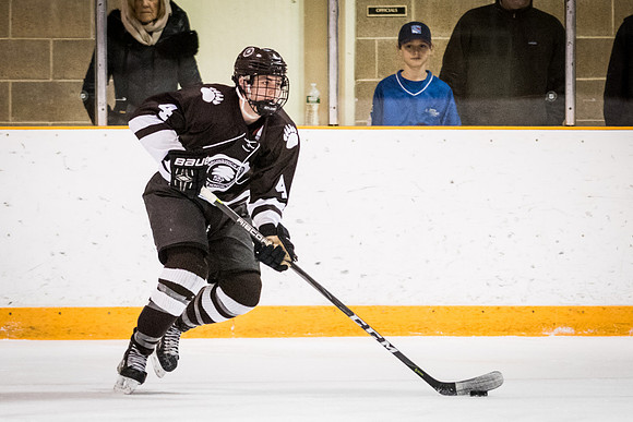 hockey_2018-01-27_wkl_8237