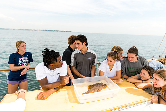 marinebio_soundwaters22_us_ah_0040
