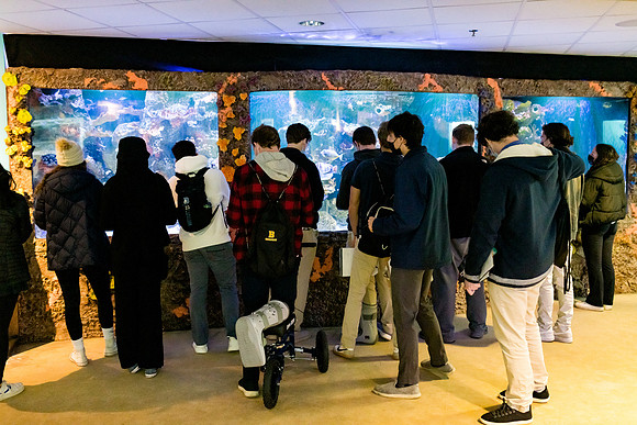 aquarium_us_ah_0006