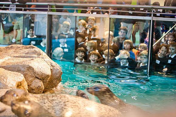aquarium_ls_mkras_2398