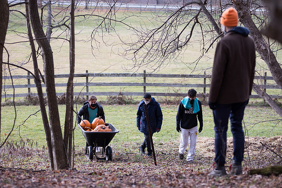 randolphvt2021_trip09_pumpkins_bdf_2704